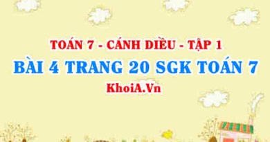 Bài 4 trang 20 SGK Toán 7 tập 1 Cánh Diều